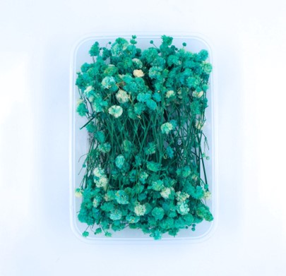 Assorted flower Box NDF001 to NDF006 (Pack Of 5)