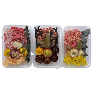 Assorted flower Box  NDF001 to NDF006 (Pack Of 5)