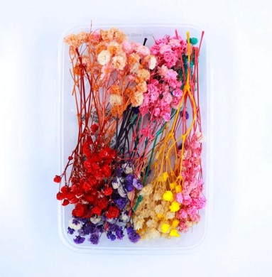 Assorted flower Box  NDF001 to NDF006 (Pack Of 5)