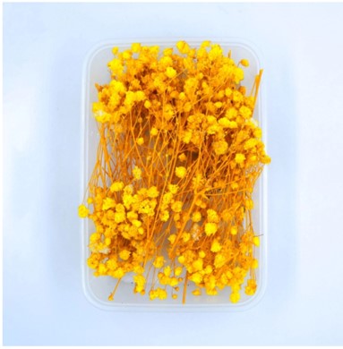 Assorted flower Box  NDF001 to NDF006 (Pack Of 5)