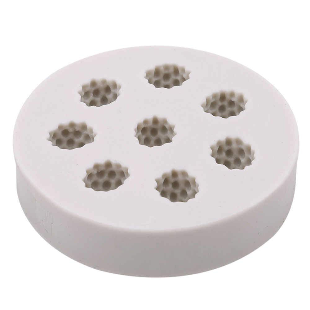 Raspberry Mold TM028