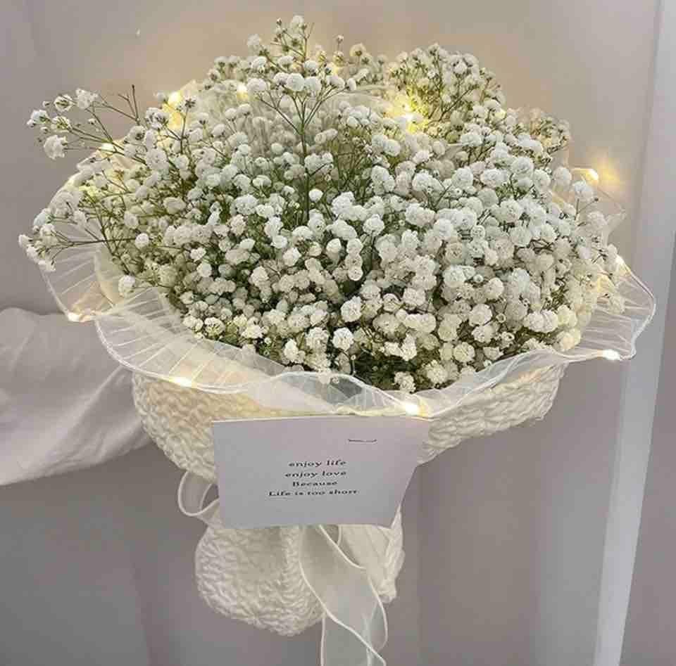 PI090 - PI092 Wrapping net