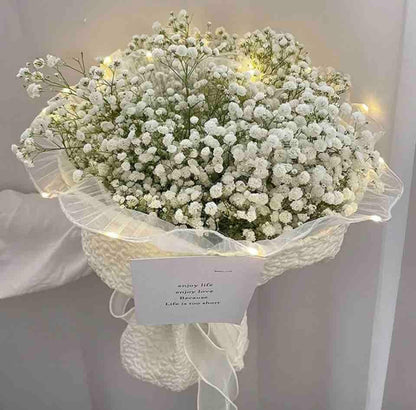 PI090 - PI092 Wrapping net