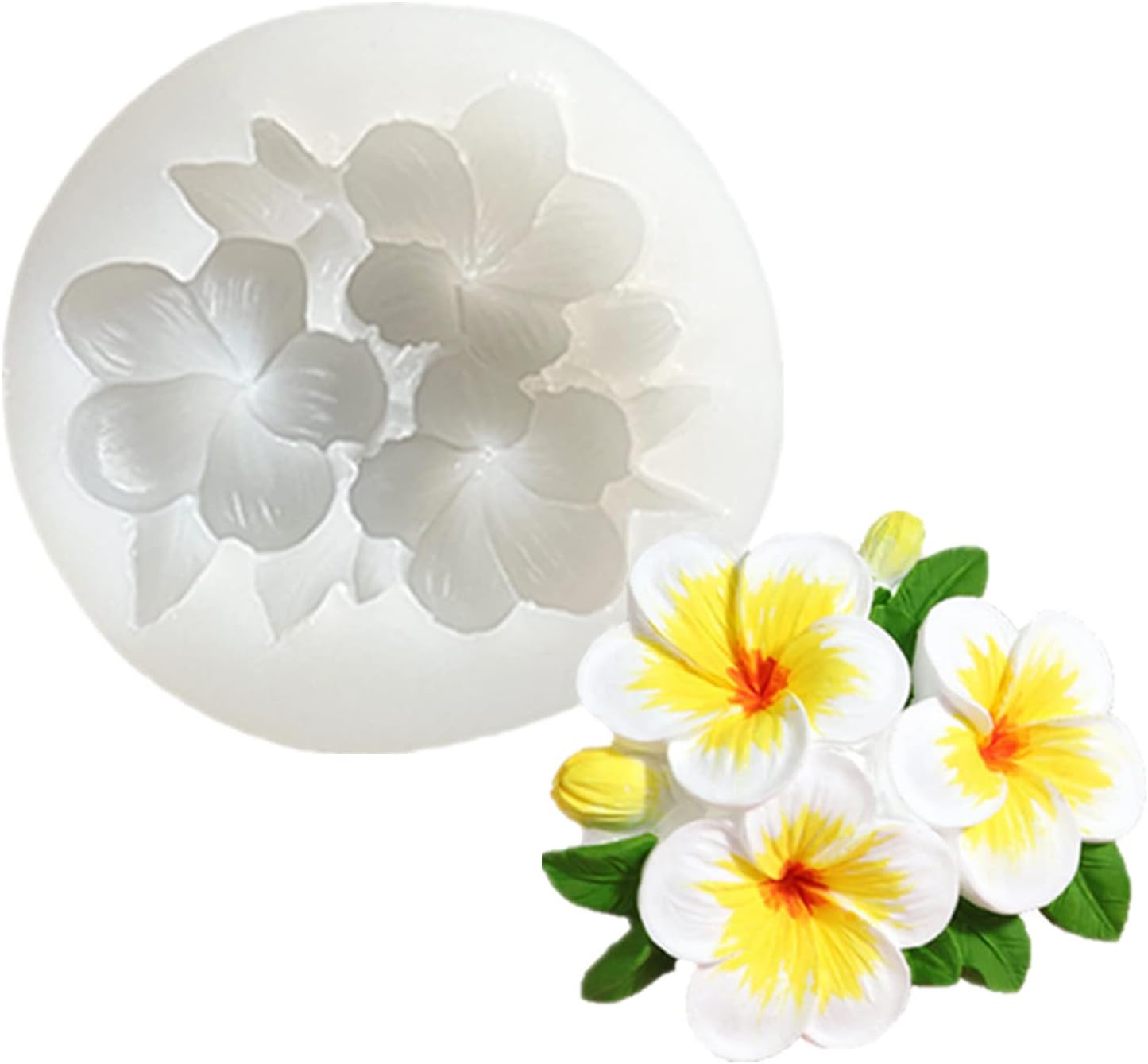Frangipani Mold TM008