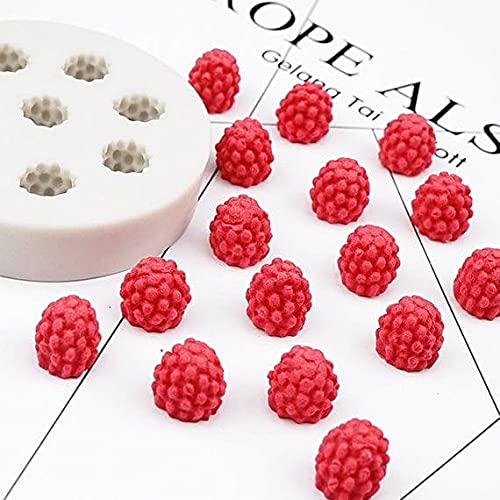 Raspberry Mold TM028