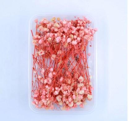 Assorted flower Box  NDF001 to NDF006 (Pack Of 5)