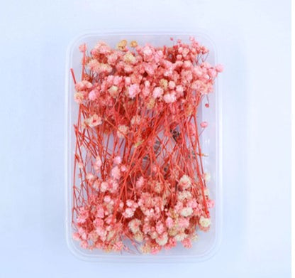 Assorted flower Box  NDF001 to NDF006 (Pack Of 5)