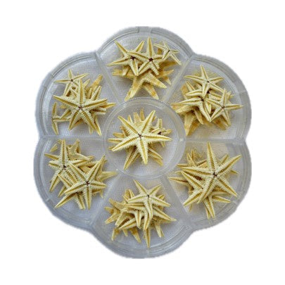 Sea Shell (Pack Of 50gm) SS001 to SS005