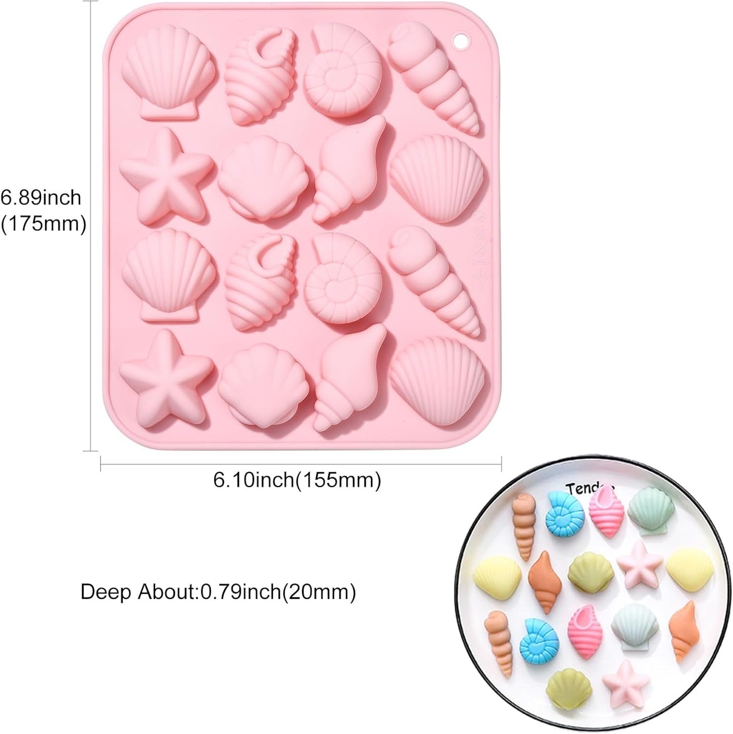 Mix Sea Shell Mold TM048