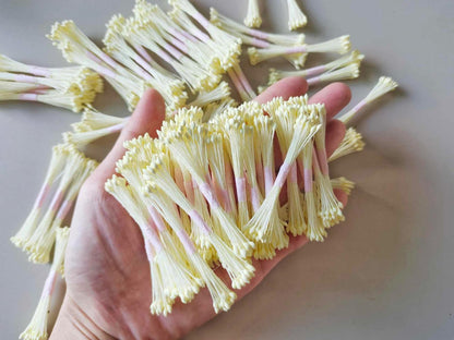 TSC037 White Pollen(Bunch Of 10)