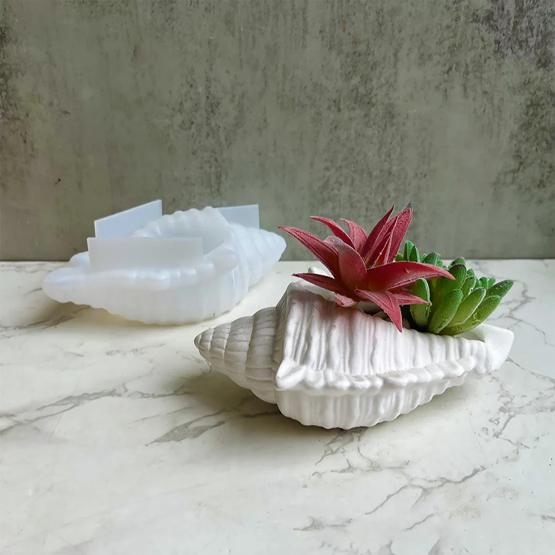 Big Shell Mold CRM008
