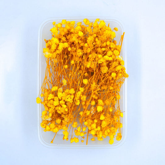 Baby Breath Yellow(1 Box) - NDF003
